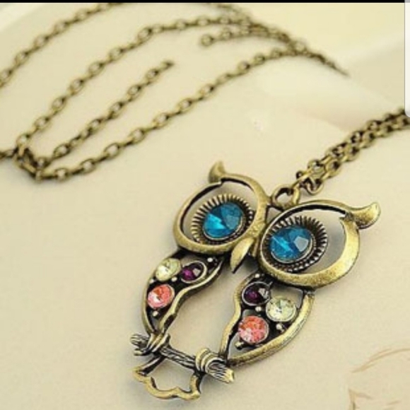 Jewelry - Last 1! Jeweled cutout owl delicate boho necklace